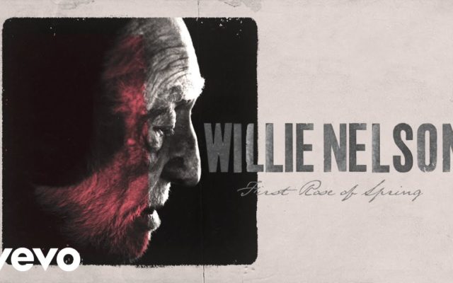 Willie Nelson Announces New Album “First Rose of Spring,” Shares Title Track
